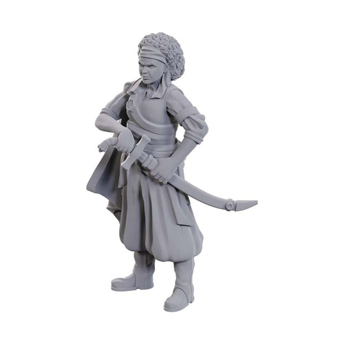 Dungeons And Dragons Nolzur'S Marvelous Miniatures: W23 Ansalon Human Rogue