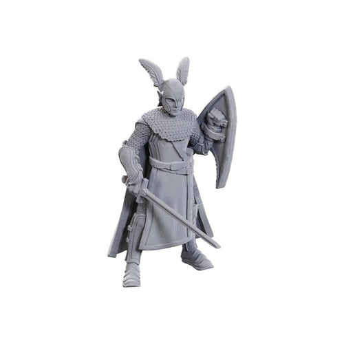 Dungeons And Dragons Nolzur'S Marvelous Miniatures: 50Th Anniversary Limited Edition: Elves
