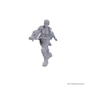 D&D Upm W25 Swashbuckler