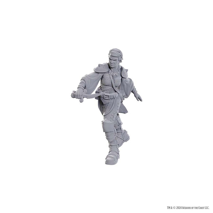 D&D Upm W25 Swashbuckler