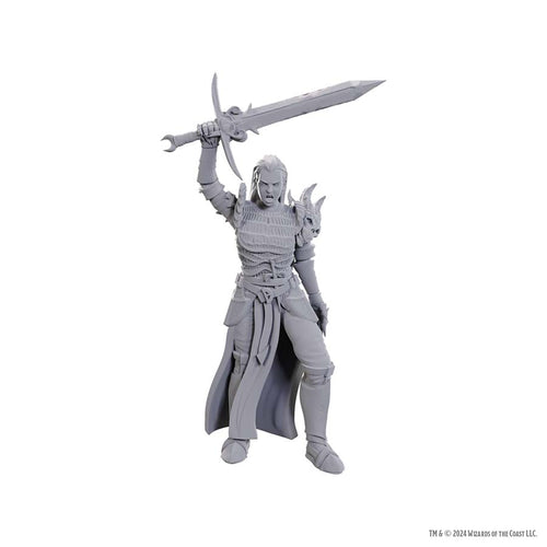 D&D Upm W25 Blackguard