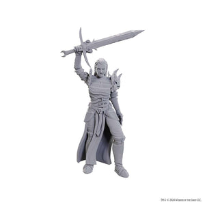 D&D Upm W25 Blackguard