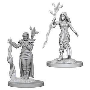 Dungeons And Dragons Miniatures: Female Human Druid (72640)