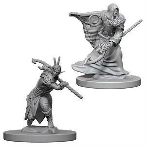 Dungeons And Dragons Miniatures: Male Elf Druid (72641)