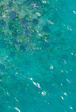 Flg Mats: Coral Reef 44" X 60"