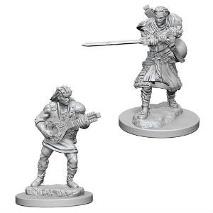 Dungeons And Dragons Miniatures: Male Human Bard (72632)