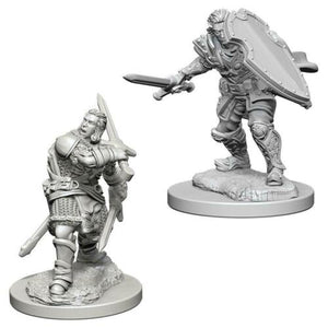 Dungeons And Dragons Miniatures: Male Human Paladin (72629)