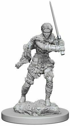 Dungeons And Dragons Miniatures: Female Human Barbarian (72644)