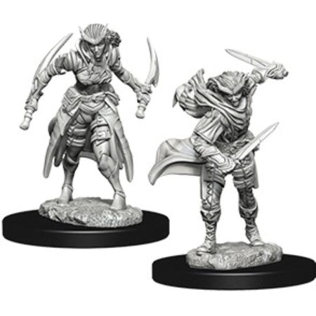 Dungeons And Dragons Miniatures: Tiefling Rogue (73338)