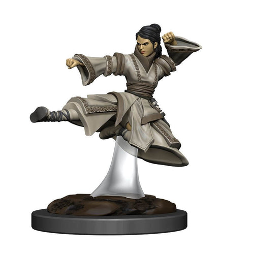 Premium Figure (Wave 6): Female Human Monk