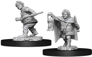 W11-Male Halfling Rogue